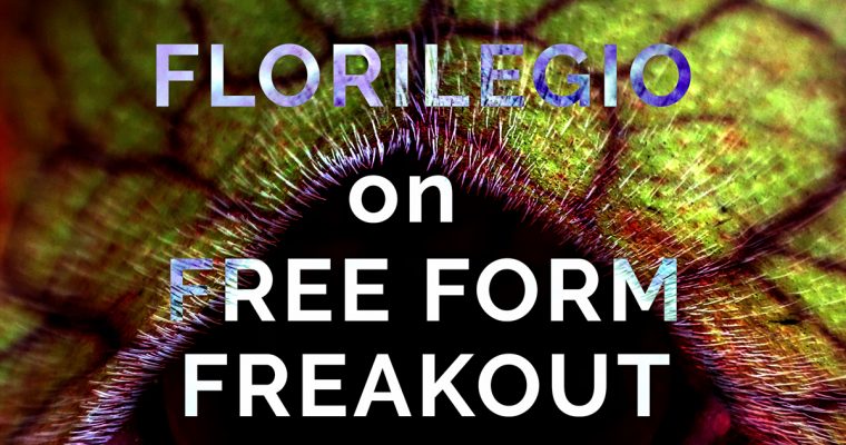 FREE FORM FREAKOUT * FLORILEGIO MIXTAPE #11