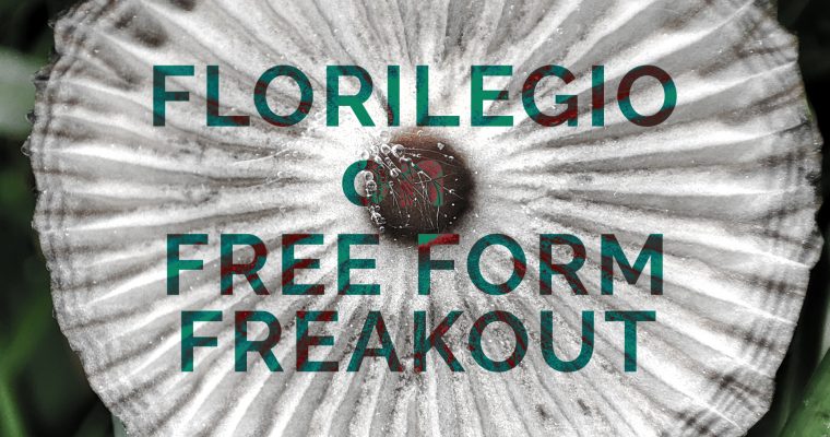 FREE FORM FREAKOUT * FLORILEGIO MIXTAPE #23